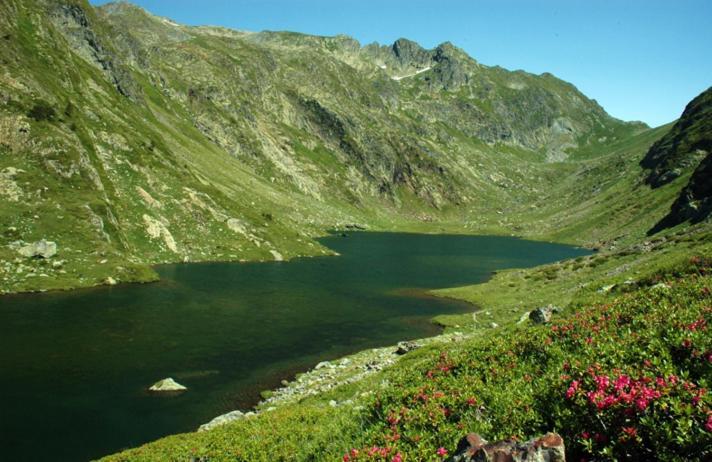 Apartaments Sort Pirineus Kültér fotó
