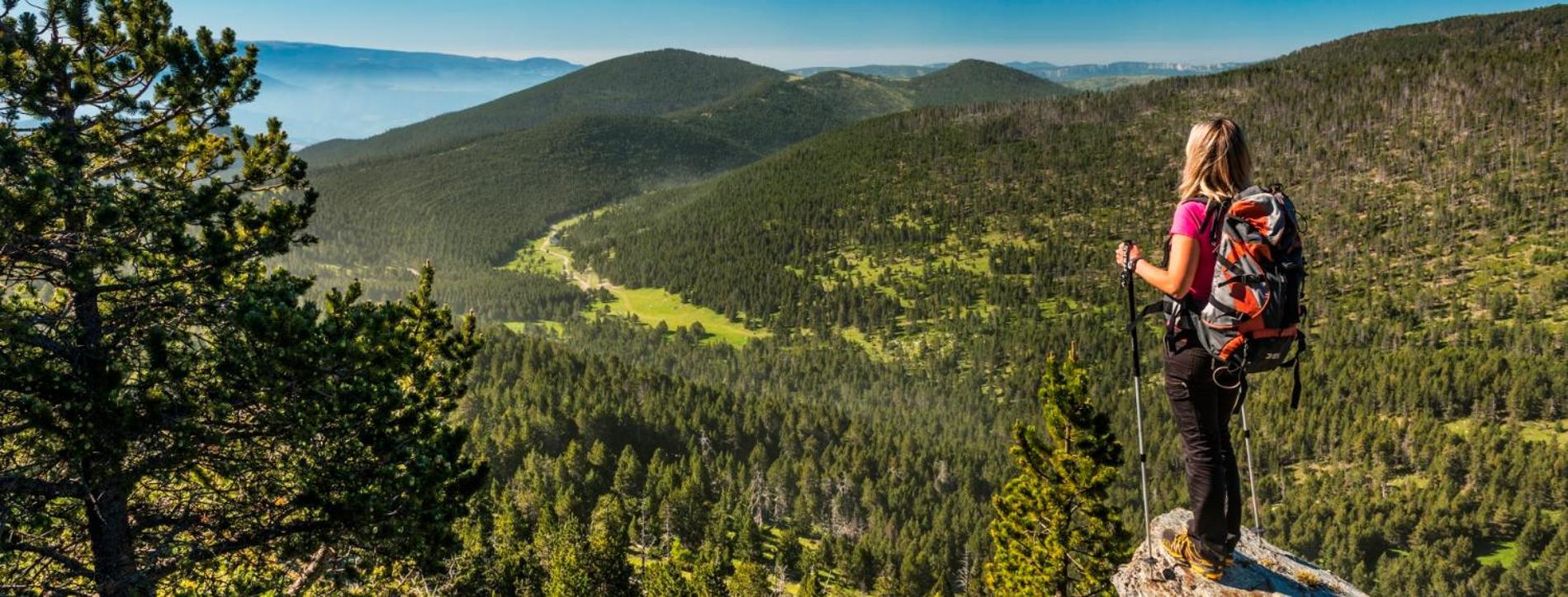 Apartaments Sort Pirineus Kültér fotó