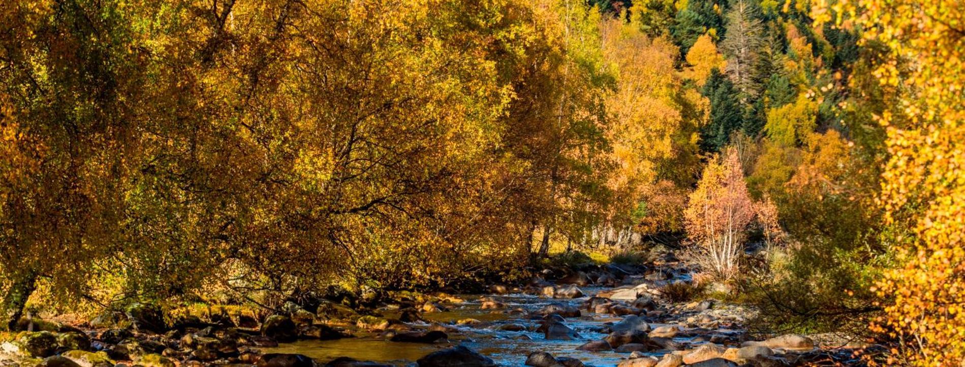 Apartaments Sort Pirineus Kültér fotó