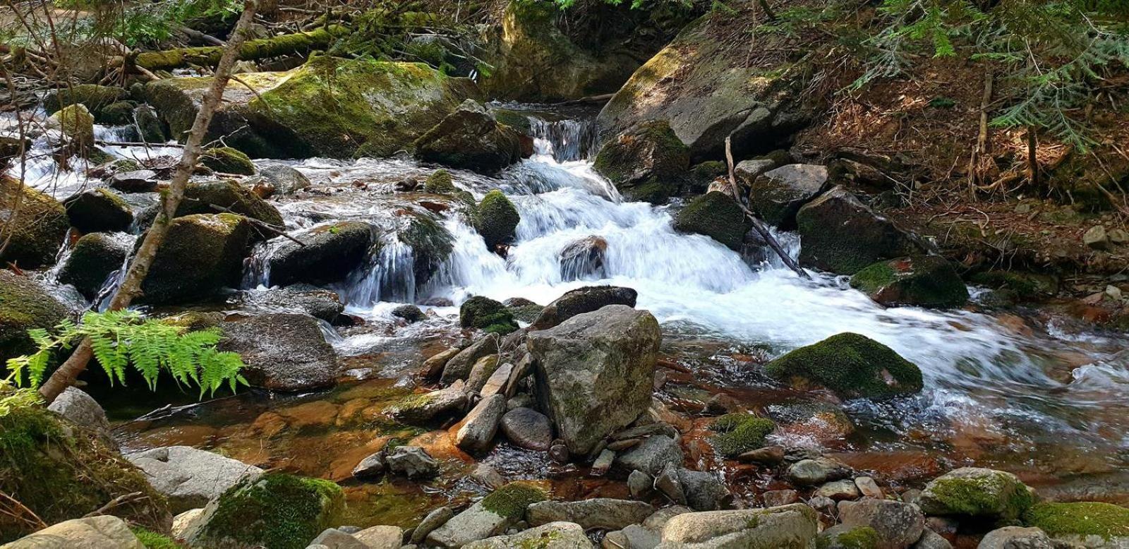 Apartaments Sort Pirineus Kültér fotó